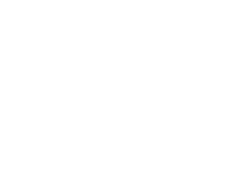WATT UNIT